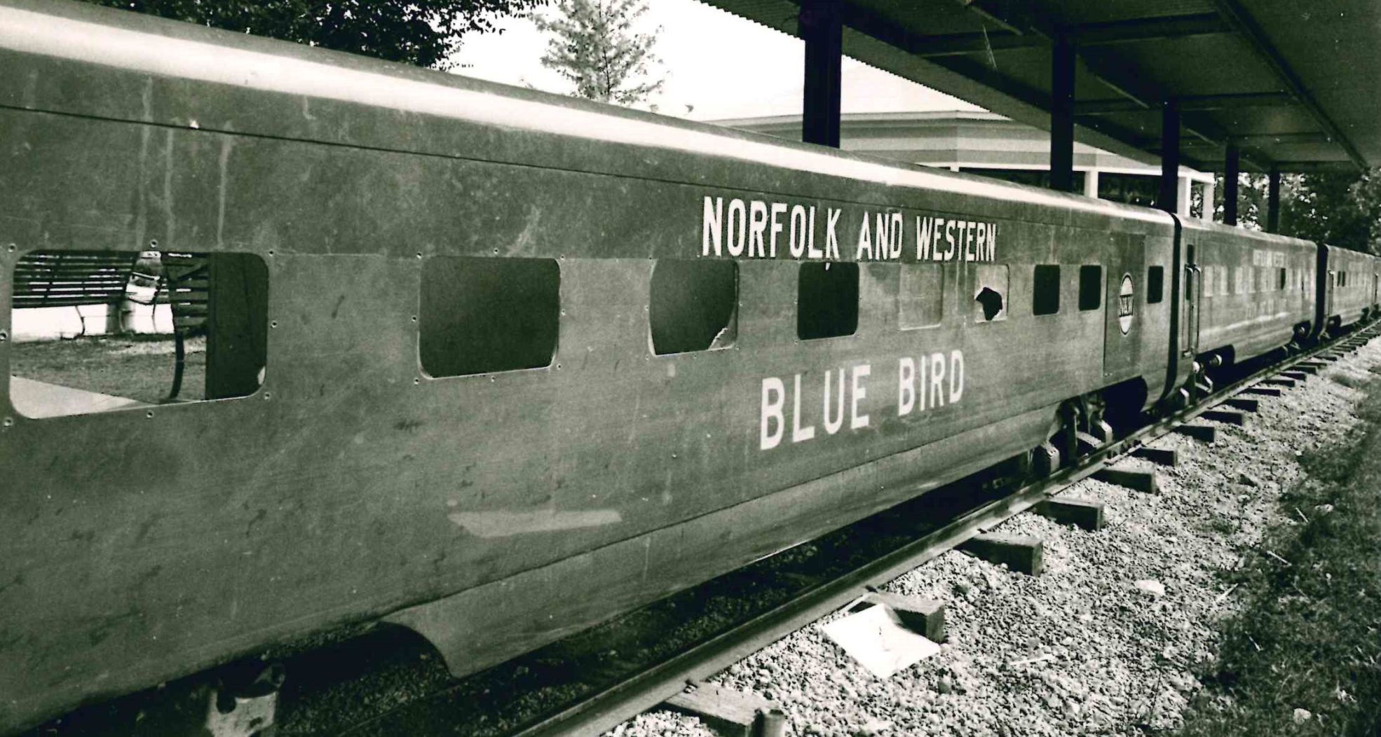 Blue Bird
